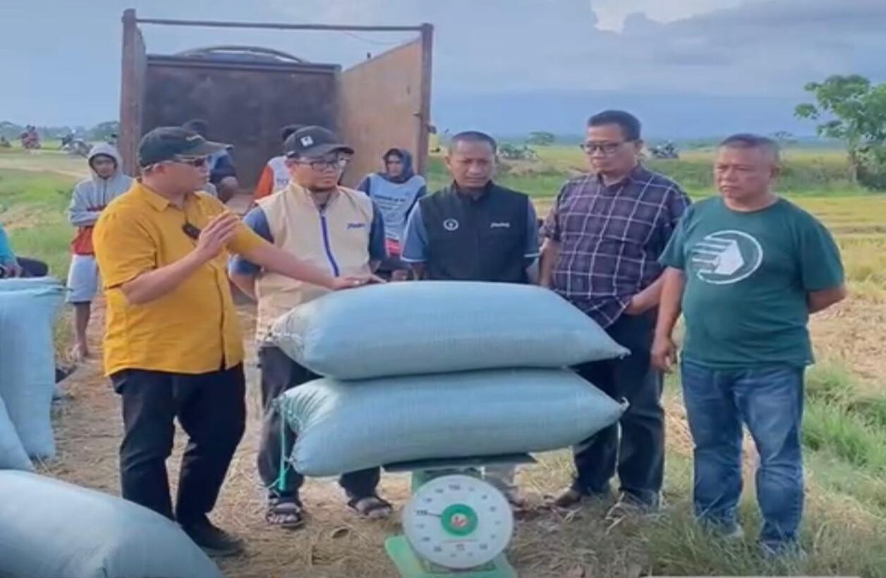 BULOG Marauke dan Bombana Tingkatkan Penyerapan Gabah dan Beras Petani
