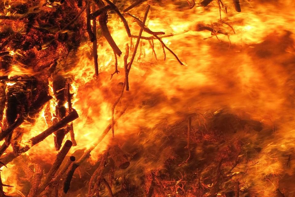 Apakah Perubahan Iklim Picu Kebakaran Hutan? Ini Jawabannya! - Info Malang Raya AA1PeDkc - Info Malang Raya