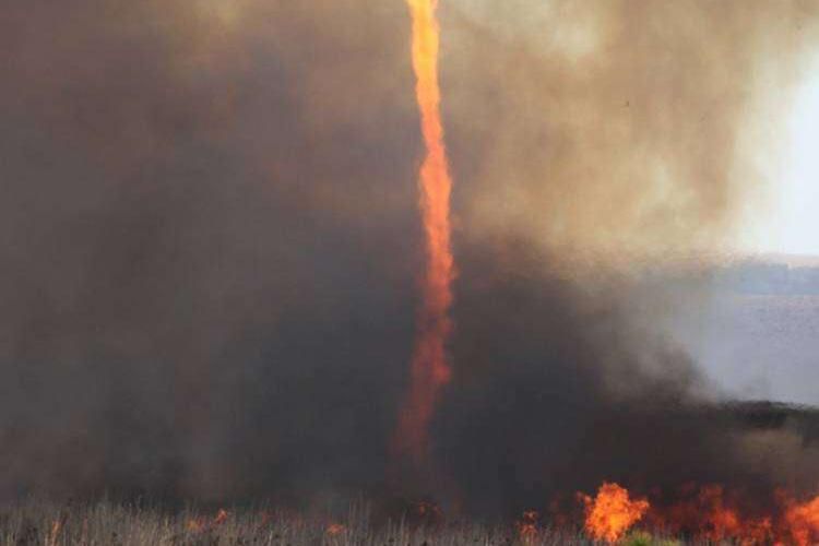 Apakah Perubahan Iklim Picu Kebakaran Hutan? Ini Jawabannya! - Info Malang Raya AA1PeLpN - Info Malang Raya