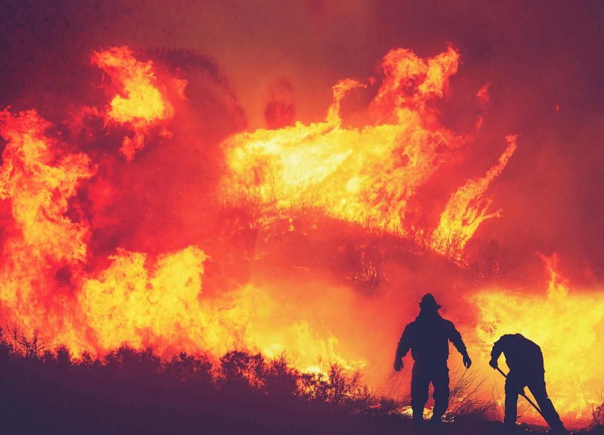 Apakah Perubahan Iklim Picu Kebakaran Hutan? Ini Jawabannya! - Info Malang Raya AA1PeLpP - Info Malang Raya