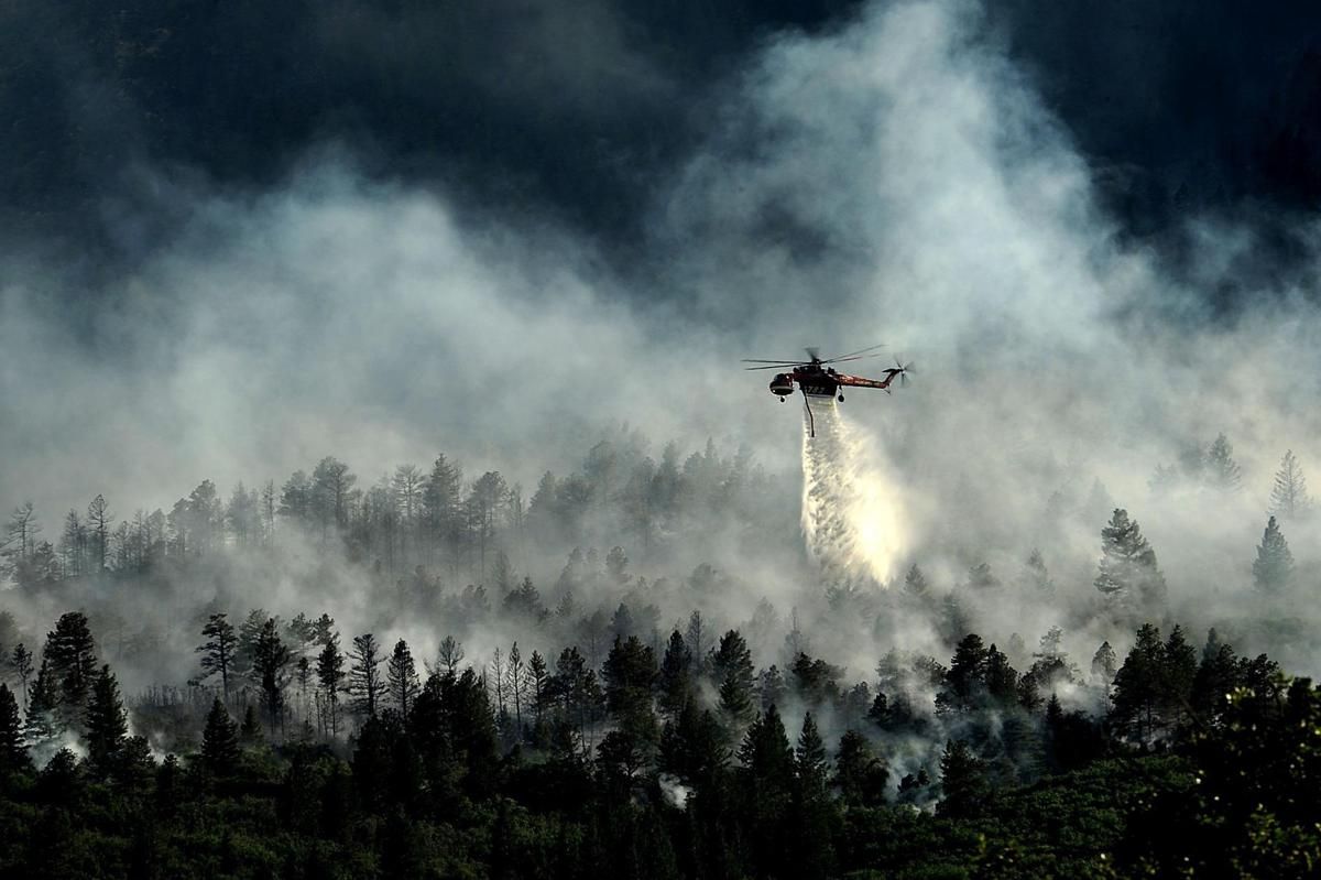Apakah Perubahan Iklim Picu Kebakaran Hutan? Ini Jawabannya! - Info Malang Raya AA1PeSza - Info Malang Raya