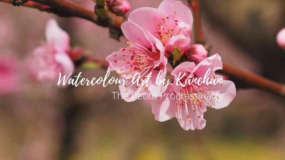 Cherry blossoms watercolor painting tutorial