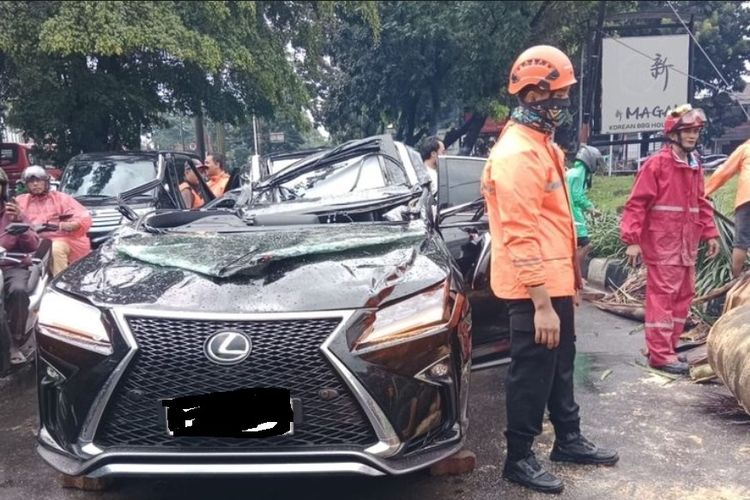 Mobil Mewah Tertimpa Pohon, Waspada Pohon Tumbang Saat Hujan Lebat