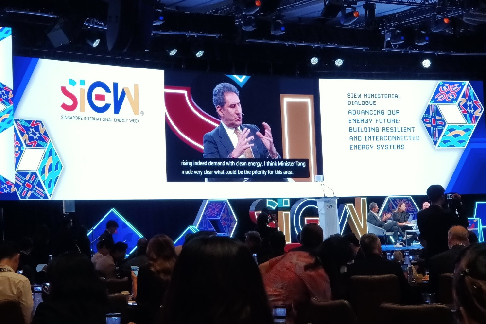 IRENA: Energi Terbarukan ASEAN dan Indonesia Perlu Dipercepat