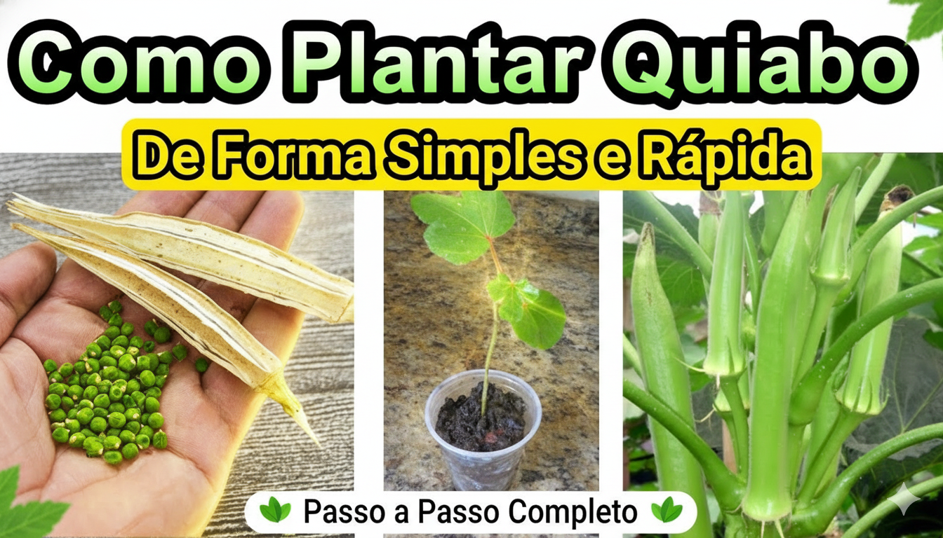 Como Plantar Quiabo de Forma Simples e Rápida | Passo a Passo Completo