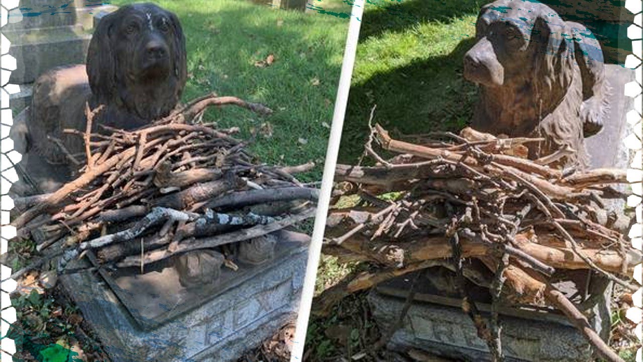 People Leave Sticks at the Grave of a Dog Who Died 100 Years Ago