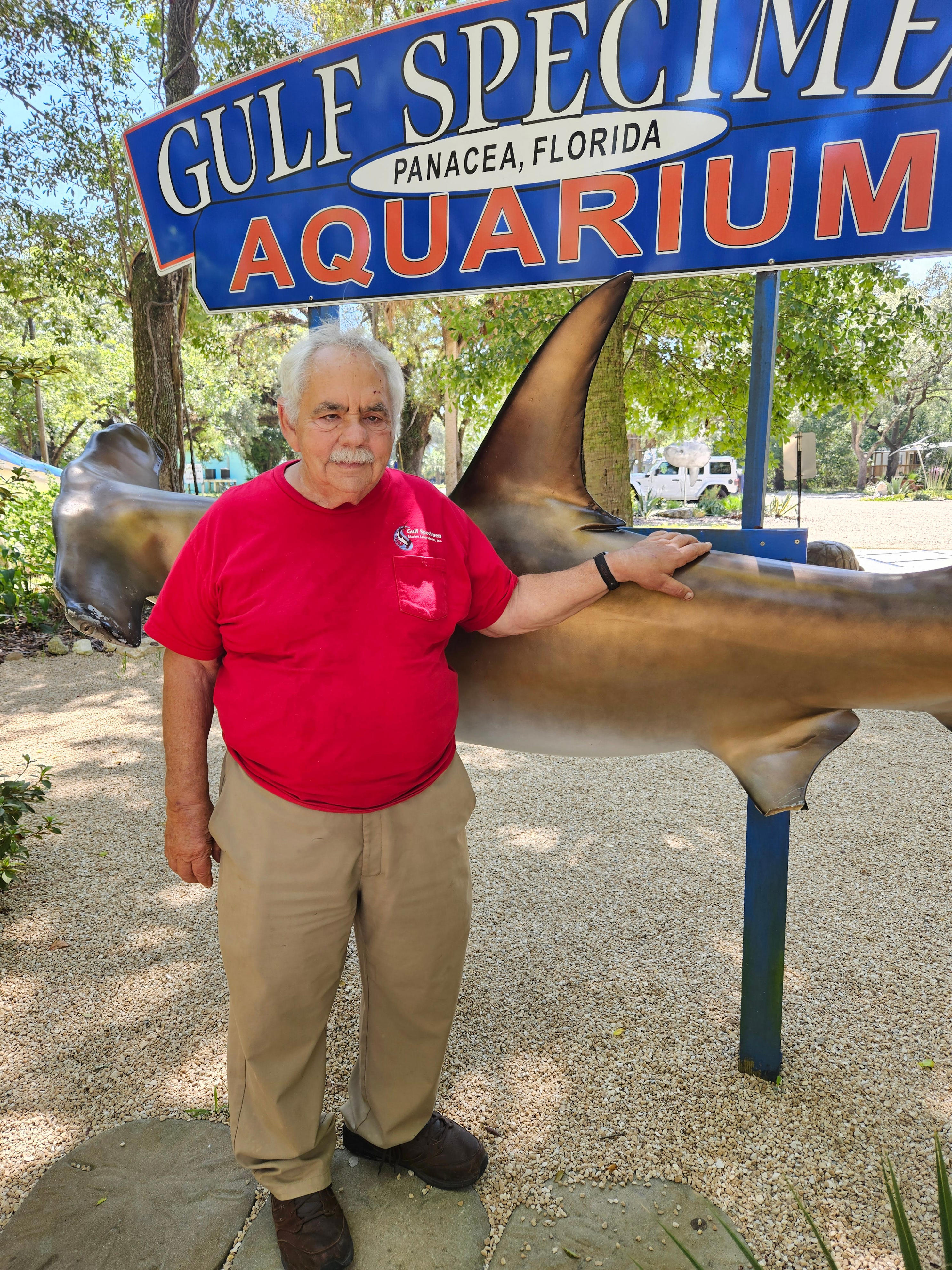 Jack Rudloe keeps dreams alive with turtle rehab, new seaweed crop at ...