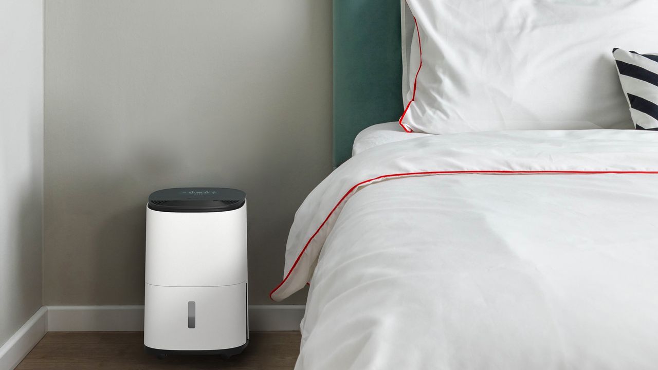 There's one mistake everyone makes with their dehumidifier here's how(00)