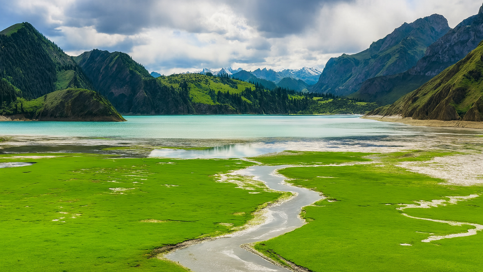 Xinjiangin Ja Qinghain Maisemat 4K laadulla