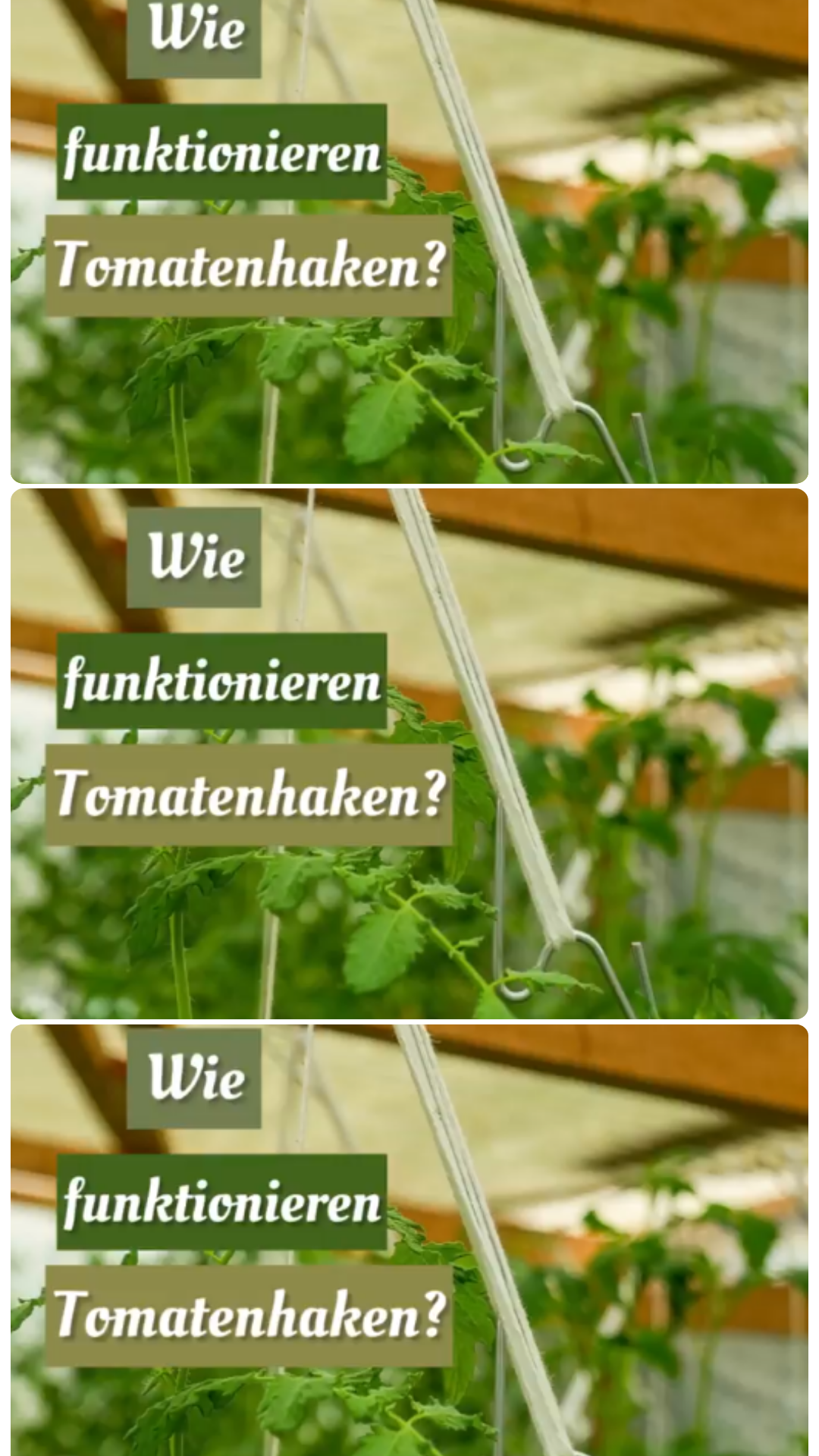 Schne Tomatenhaken Selber Machen Ebenbild