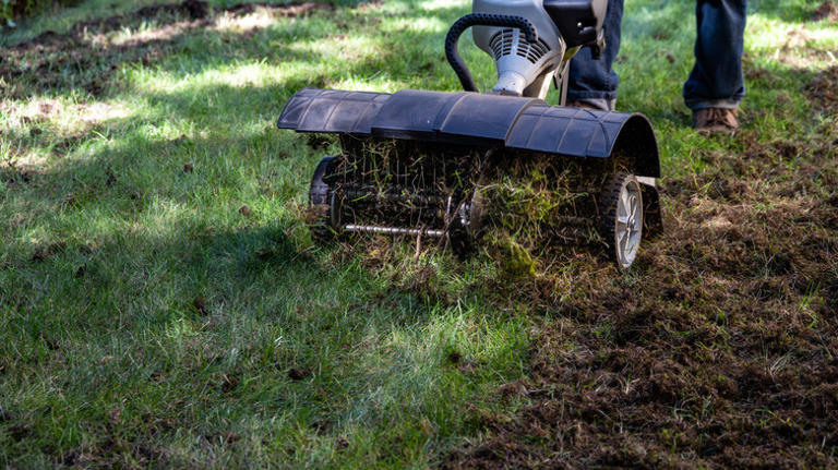 17 Things To Do To Your Lawn Now Before The First Frost For More ...