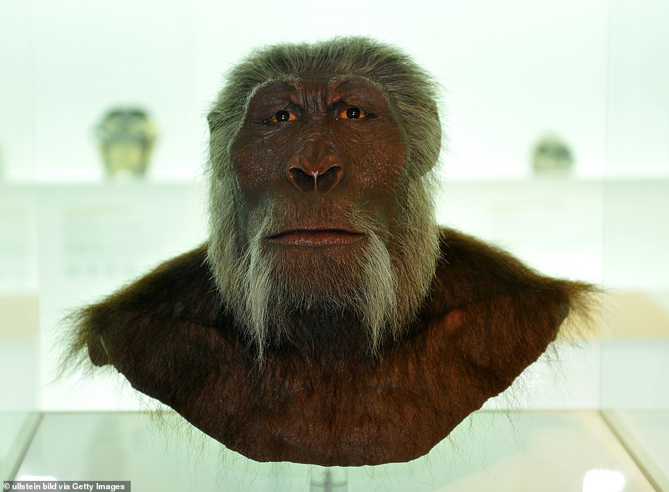 Our rapid evolution: Here's what modern human adaptation looks like