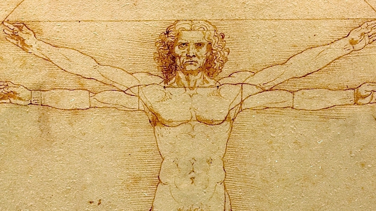 Hidden crotch detail solves a 500-year-old Leonardo da Vinci mystery