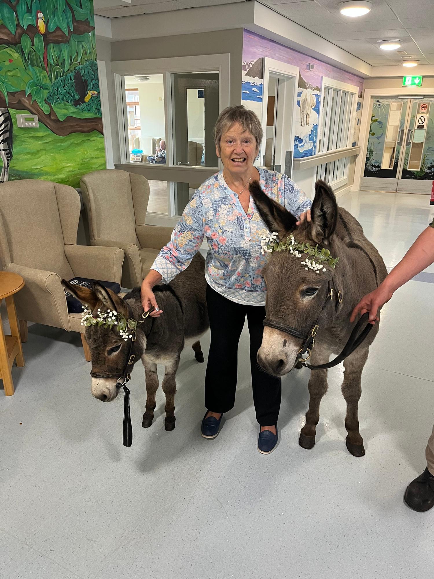 Donkeys Visit Larne Care Centre