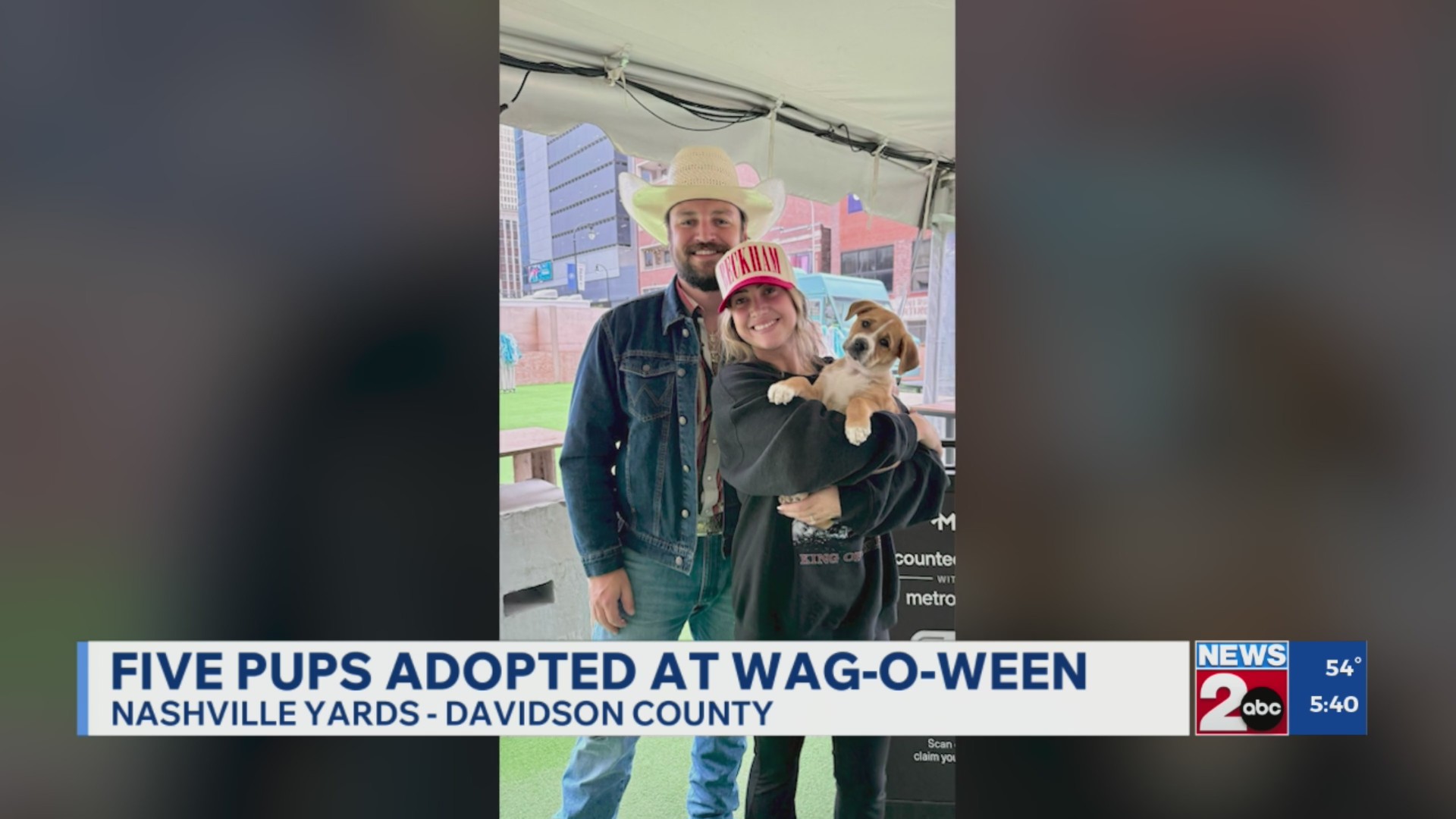 5 dogs adopted at Wags & Walks Wag-O-Ween event