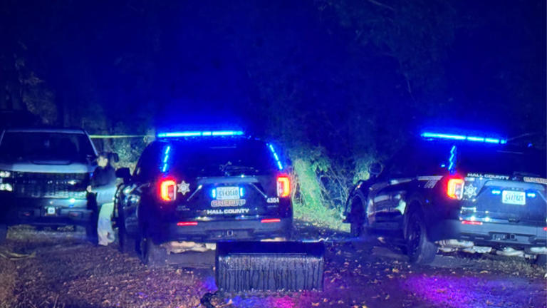 Hall County woman charged with murder in death of 4-year-old child