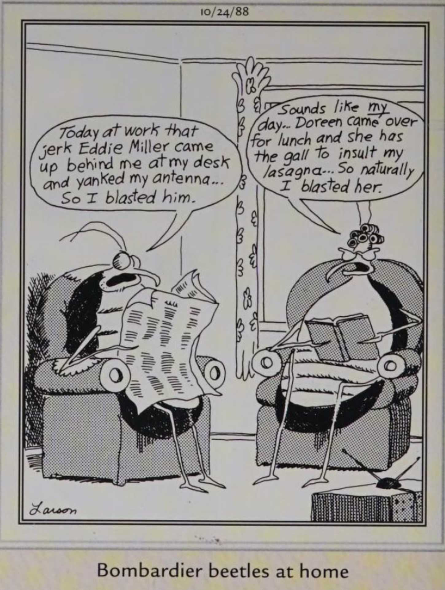 Far Side, October 24, 1988, 'bombardier beetles at home' talking about 'blasting' people
