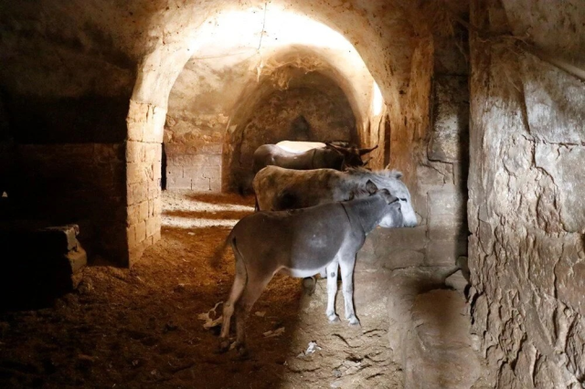 Mardin'de Eşekler Emekli Oluyor, Yerine Elektrikli Araçlar Geçiyor