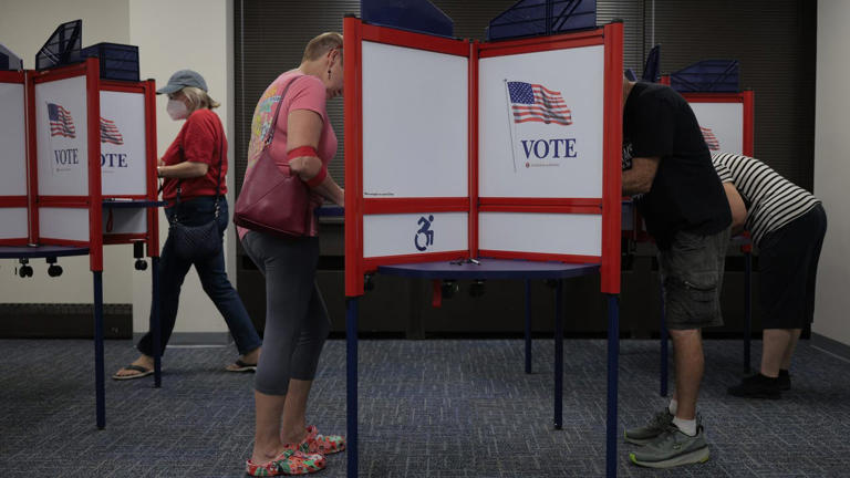 Virginia 2025 Elections: Final week of early voting
