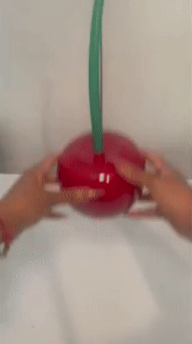 Reviewer showcases a cherry-shaped toilet brush