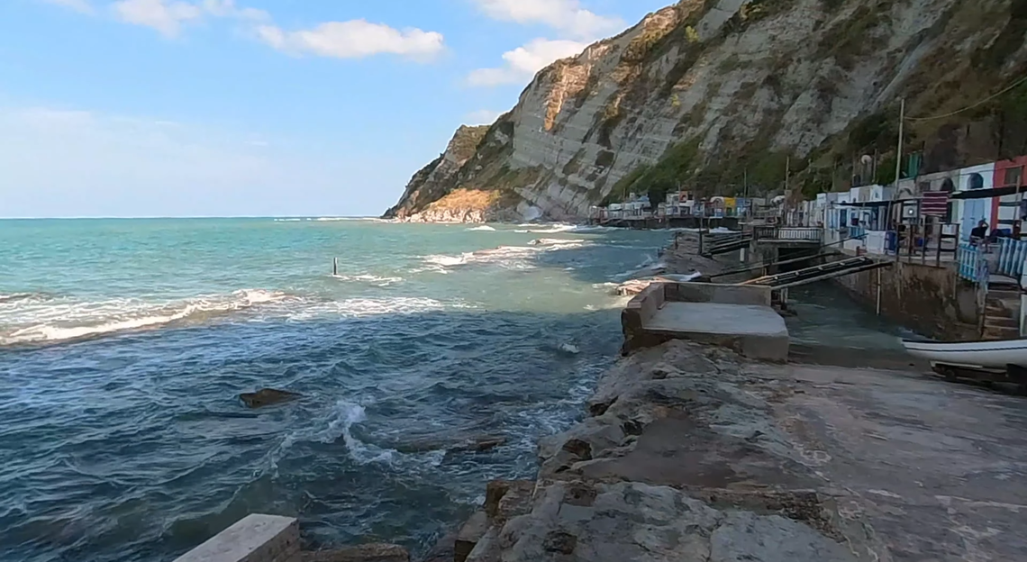 ‘Rare' sea creature with ‘leaf'-like body found in tide pool in Italy ...