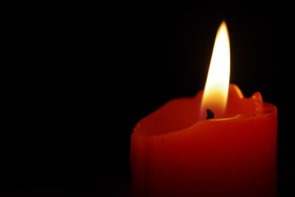 Missing reality star, 25, found dead near submerged car