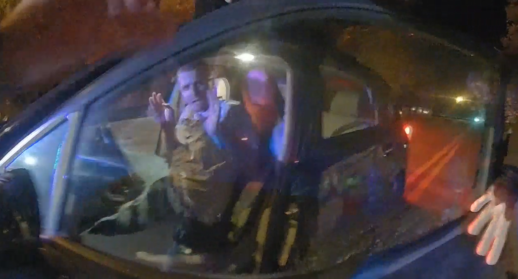 Police seek man who allegedly fled traffic stop after pushing driver ...