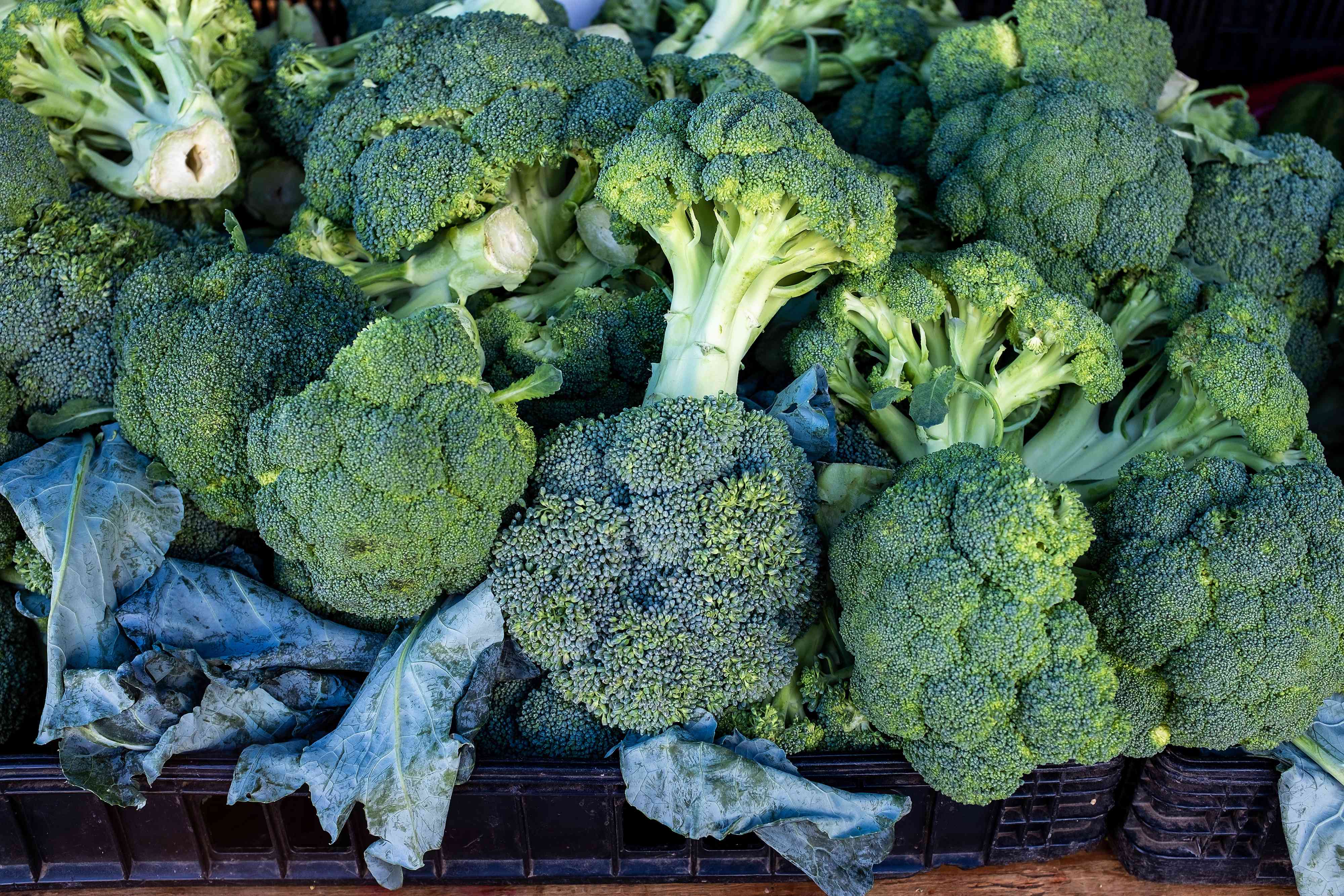 What happens to your body when you eat broccoli every day
