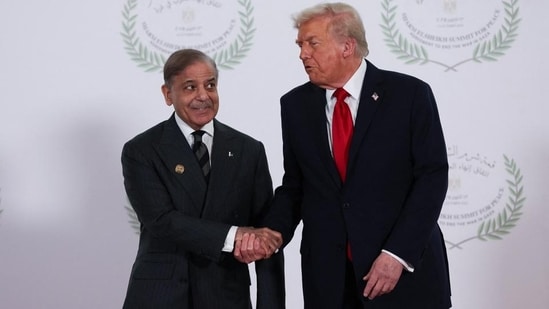 US President Donald Trump and Pakistani Prime Minister Shehbaz Sharif at the Egypt summit.