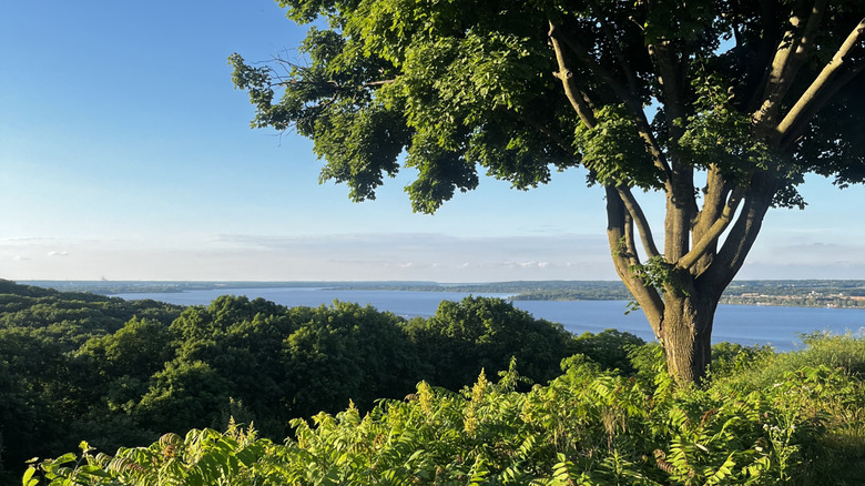 The 'World's Most Beautiful Drive' Is A Scenic, Underrated 2.5-Mile ...