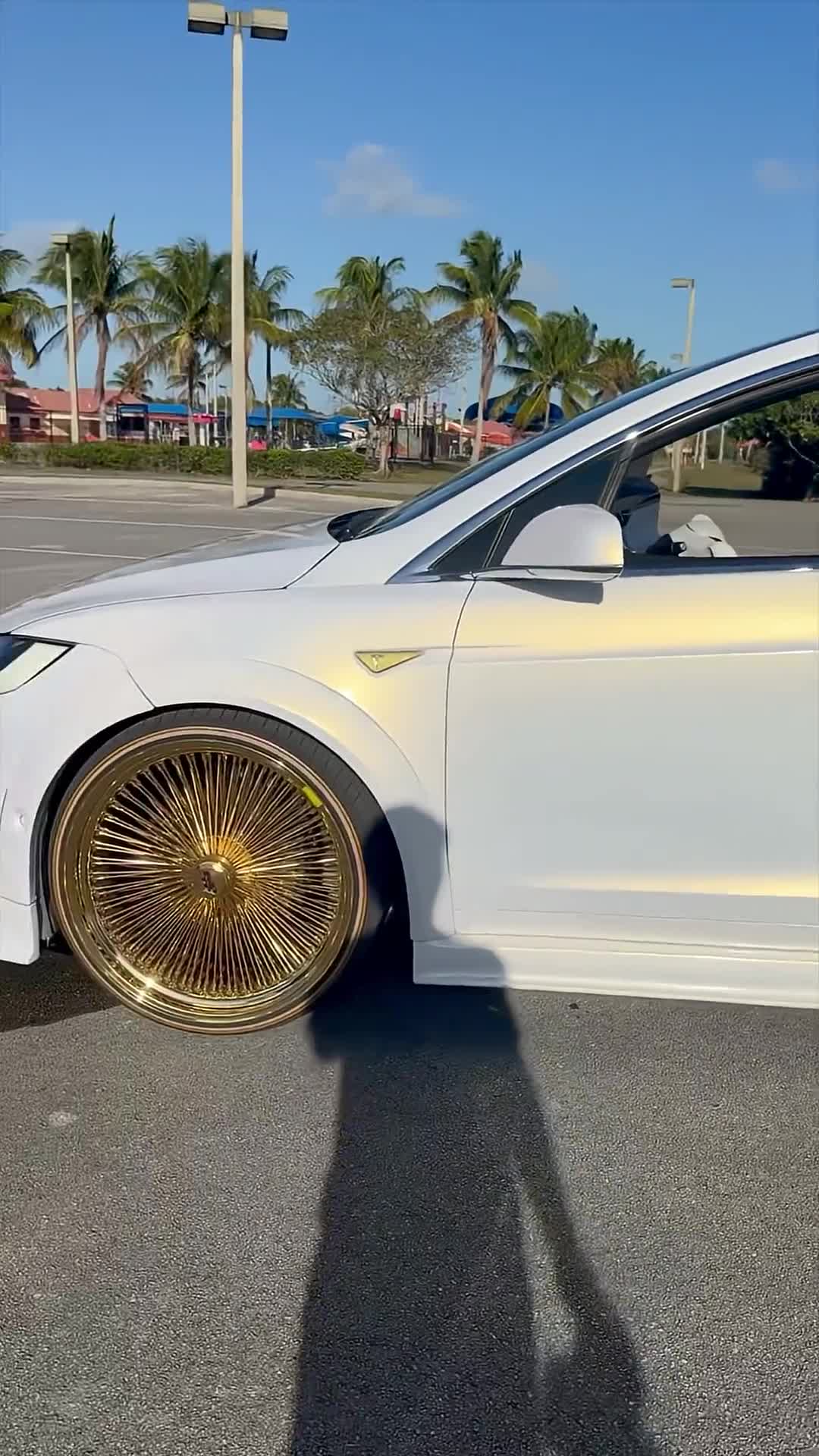 Tesla Model X on Gold 24’s Daytons