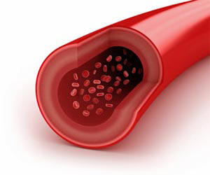 Top 5 Blood Tests You Should Take Before It's Too Late