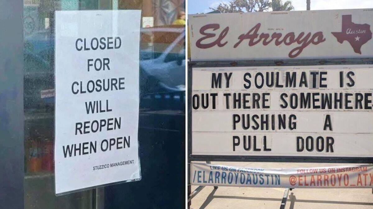 Signs that absolutely refuse to be upstaged or ignored