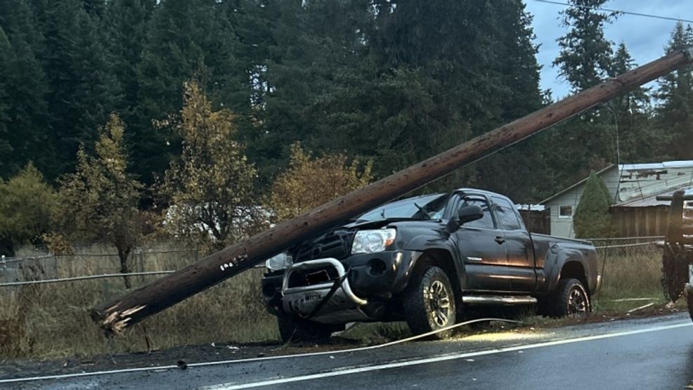 Driver crashes into power pole