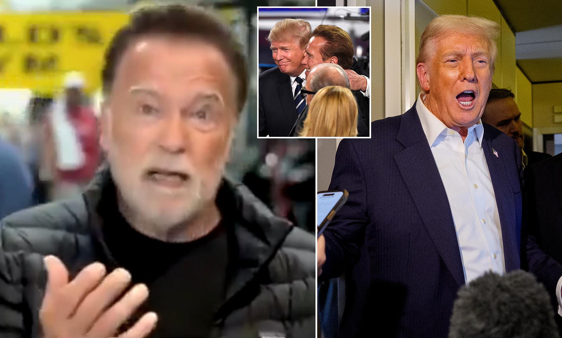 Arnold Schwarzenegger makes shock Trump U-turn as he accuses Democrats ...