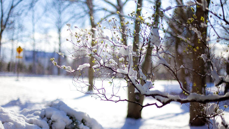 What will Southeast Michigan's winter look like? Here's what to know ...
