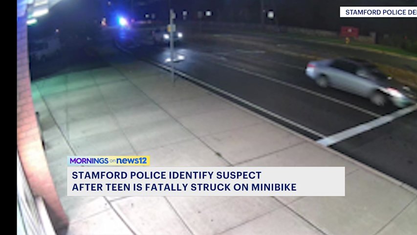 Stamford police identify suspect in fatal hit-and-run that killed 12 ...