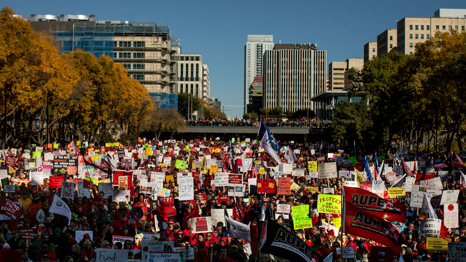 Alberta invokes notwithstanding clause, orders striking teachers back ...