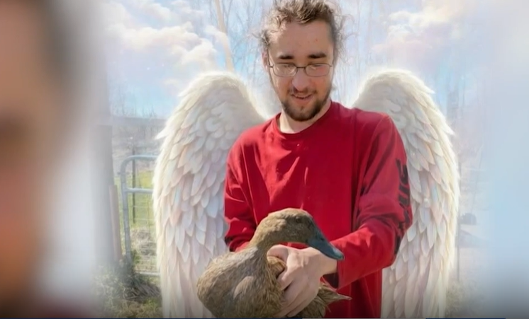 Family seeks justice after Brown County father killed in hit-and-run
