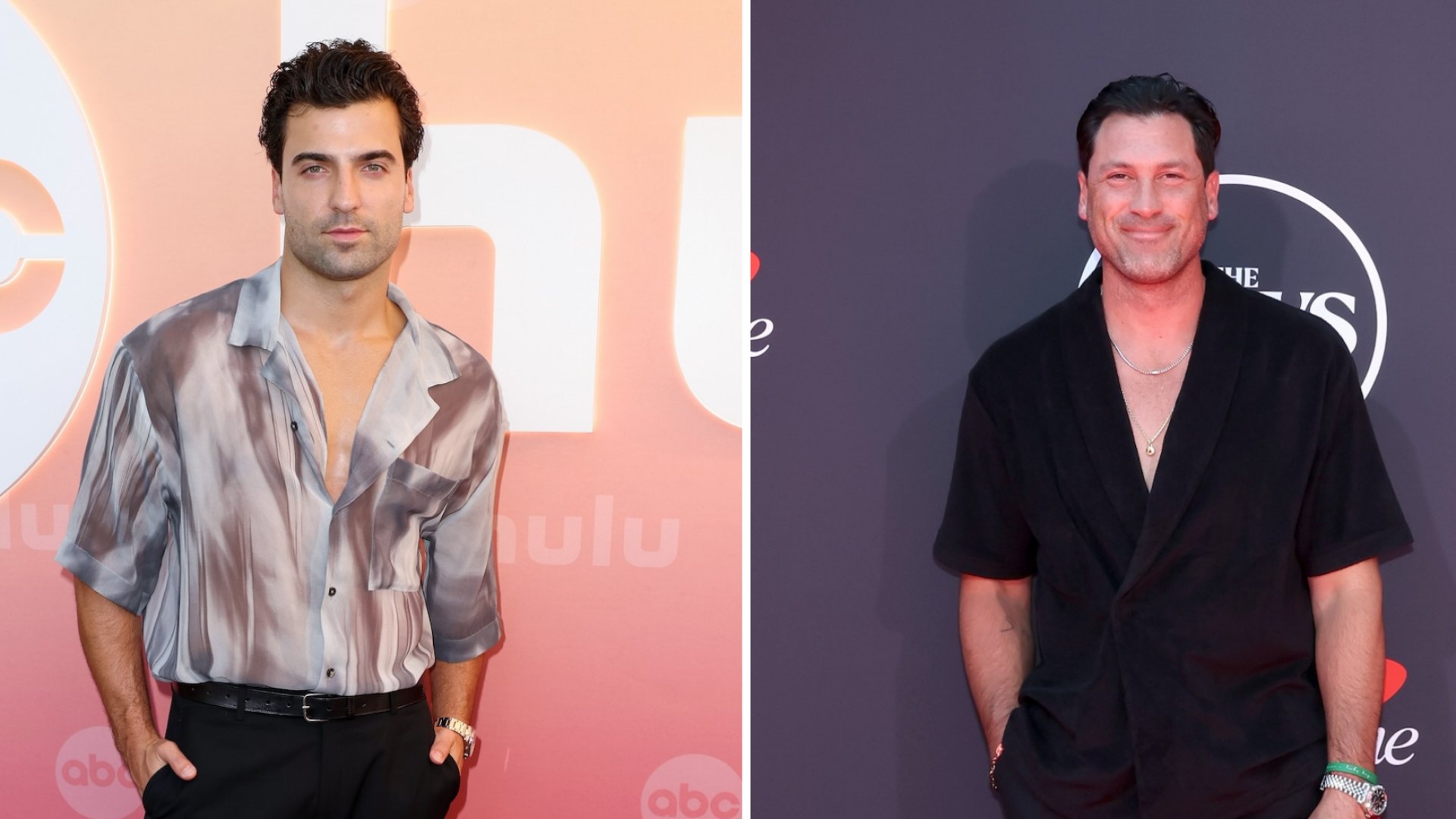Jan Ravnik Seemingly Reacts to Maks Chmerkovskiy's ‘DWTS' Criticisms