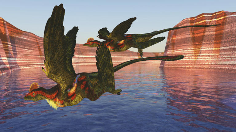 One Of The Smallest Dinosaurs To Ever Exist Had Wings In An Unexpected ...