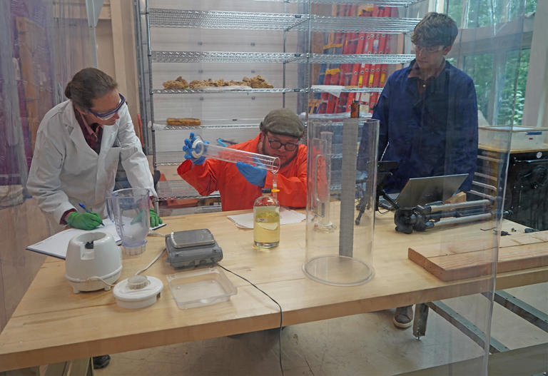 Are mushrooms the future of insulation?