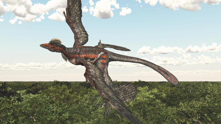 One Of The Smallest Dinosaurs To Ever Exist Had Wings In An Unexpected ...
