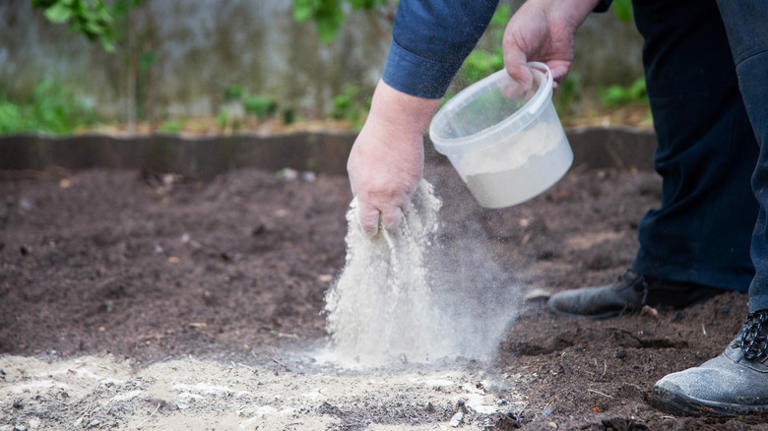 11 Additions That Can Boost The Health And Productivity Of Your Garden Soil