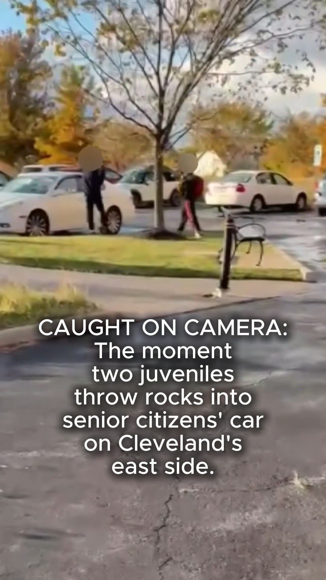 CAUGHT ON CAMERA: 2 juveniles break senior citizens' car windows in ...