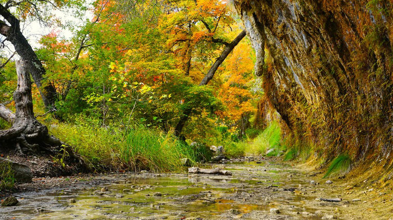 This Hidden Rural Getaway Boasts Outdoor Fun Paired With Some Of Texas ...