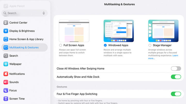 iPad Multitasking & Gestures settings menu