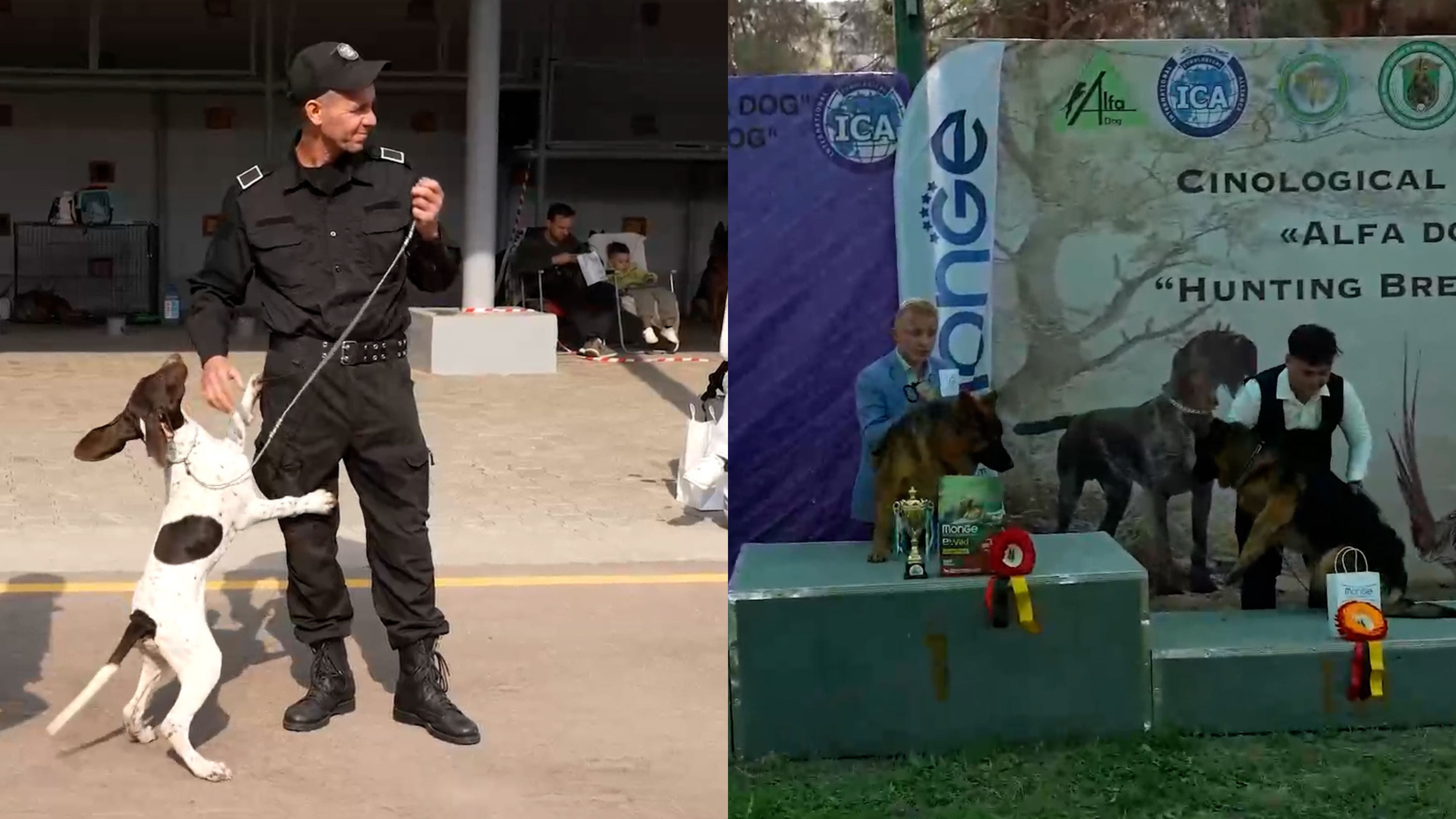Uzbekistan holds dog festival