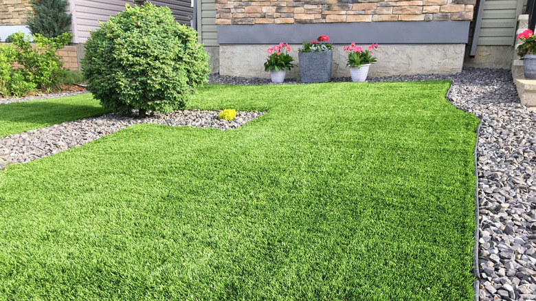Add A Dash Of Cinnamon To Improve Your Lawn (& Why It Works)