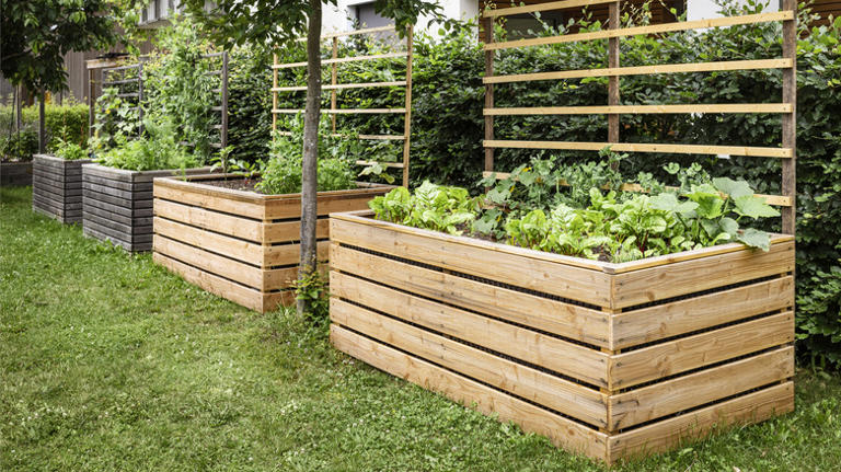 The Affordable Way To Build Raised Beds For Your Vegetable Garden